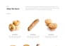design or redesign your wordpress website using divi builder